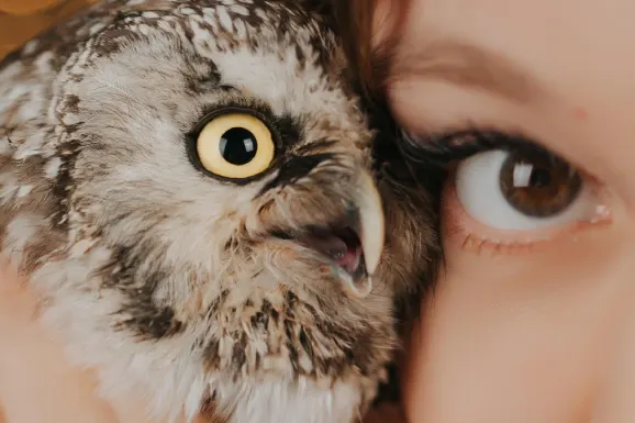 Kasino B Bets Podpora